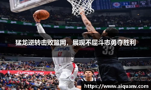 333体育官网