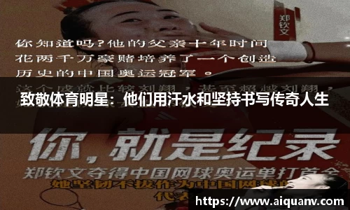 333体育
