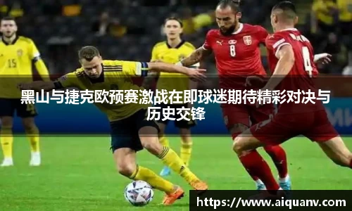 333体育app