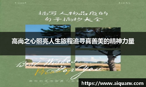 333体育