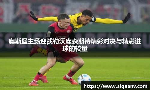 333体育官网